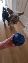 2020 multifuncional de comida de perro jugar pelota de hule de juguete masticar dispensador de fugas interactivo para mordedor Dental juguete de entrenamiento pelota