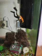 Bomba de aire silenciosa para acuario, bomba de oxígeno sin ruido con enchufe europeo de 220-240V, 2W