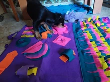Alfombrilla de entrenamiento para perros y mascotas, manta de olfting, almohadillas de lana desmontables, esterilla para perros, alivia el estrés, rompecabezas, juguete para mascotas, almohadilla para la nariz