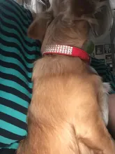 Rhinestone Bling perro collares para mascotas de cuero de la PU de diamantes de cristal Collar para mascota cachorro rosa roja collares y correas para perro Accesorios