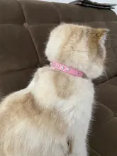 Collar de cuero sintético con diamantes de imitación para perros y gatos pequeños, accesorios para mascotas, correa para Collar de perro de diamantes, 12 colores