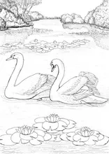 ATOMSTACK-grabador láser A5, 20W, CNC, montaje rápido, área de tallado de 410x400mm, estructura de metal completa, enfoque fijo, protección ocular láser