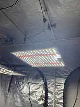 Samsung-Luz LED LM281B para cultivo hidropónico, fitoamplificador para plantas, tablero cuántico de espectro completo, lámpara de planta de invernadero para tienda de cultivo