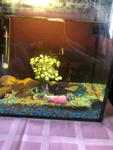 Accesorios de decoración de Acuario, accesorios para mascotas, pecera, adorno bonito de sirenita, pecera, escritorio, 1 Uds.