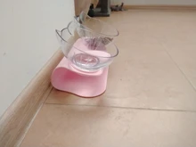 Meijuner-cuenco antideslizante para gatos, Bol individual y doble con soporte elevado, cuencos de comida para mascotas para protección Cervical