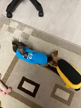 Abrigo con capucha para perro mascota de dibujos animados, ropa de invierno para perros pequeños, gatos, cachorros, Chihuahua, Yorkies, sudadera para perros y Mascotas