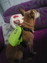 Mochila de nailon de colores para Gato, mochila multifunción con arnés y correa para perros pequeños