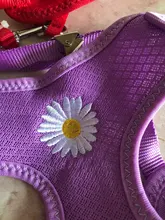 Chaleco para gatos mascota con arnés Floral para perros pequeños, conjunto de arnés y correa de malla acolchada, para cachorros, Chihuahua, Yorkie 10E