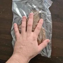 High-Quality Almond Olive-Leaf Aquarium Catappa-Leaves Water-To-Balance Natural Terminalia