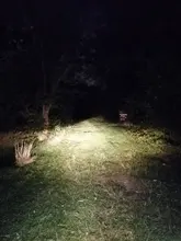 Faro LED para motocicleta, Luz antiniebla de 12v, L6X, para BMW, Suzuki, soportes delanteros, luz de paso