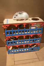 Toys Hamster Seesaw-House Tunnel-Cage Swing Wooden-Tube Rat-Mouse-Mice Play Exercise
