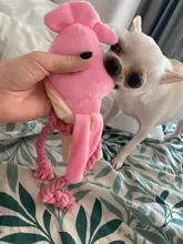 Gato de calamar para perro, juguete de pulpo, mascota de peluche BB, cuerda de perrito, mordedores de juguete con sonido rosa