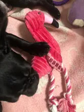 Pet-Squeaky-Toys Pets-Accessories Dog-Supplies Octopus Dog-Chew-Toy Puppy Flamingo Small Dogs