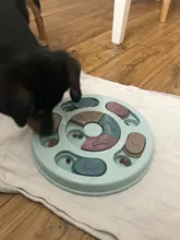 Bowl Dog-Puzzle-Toys Slow-Feeder Food-Dispenser Dogs-Game Puppy Iq Training Interactive