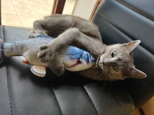 Gato cargador USB juguete interactivo de disquete pez gato realista juguete de gatos domésticos masticar morder juguetes suministros para mascotas gatos perro de juguete