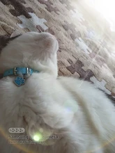 Collar de cuero sintético con diamantes de imitación para perros y gatos pequeños, accesorios para mascotas, correa para Collar de perro de diamantes, 12 colores