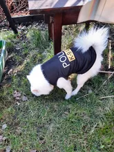 Traje de policía para Cosplay de perros y gatos, chaleco elástico negro, camiseta de cachorro, accesorios, ropa, disfraces