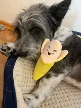 Juguetes de peluche para perros pequeños y grandes, sonido de plátano, juguete masticable para mascotas, productos para Chihuahua