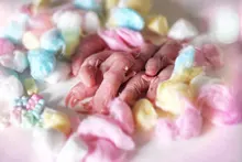 Hamster Cage-Accessories Balls Mini Small Nesting-Material Pet Warm Colorful Winter Cute