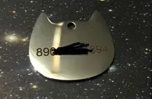 Placas de identificación personalizadas para perros, placas de identificación de Metal para cachorros, placas de identificación antipérdida para perros, gatos Pitbull, tarifa de grabado incluida accesorios para perros