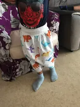 Falda de pañales 2 en 1 para niños y adultos, pantalones cortos absorbentes para bebés, previene fugas de Moment Mat, cubierta de pañal