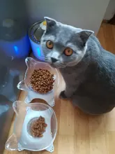 Cuencos elevados para gatos, cuencos dobles y duraderos para perros y gatos, soporte elevado, suministros de alimentación y riego para perros, suministros para mascotas