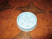 Tazón de entrenamiento de comida lenta para perros, cachorros y gatitos para alimentación de cuenco de plástico, cuencos de entrenamiento para evitar Choke