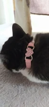 Collar de gato con campana para gatos, cachorros, collares correas para gatos, perros, Chihuahua, Gato, correas, suministros de plomo para mascotas