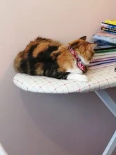 Gato Collar con lazo pajarita Collar de gato para gatos y perros pequeños accesorios gato-Collar gatos y mascotas productos Chihuahua corbata de moño Collar