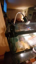 Lámparas de temperatura con ajuste para acuario, lámparas de temperatura con ajuste de UVA y uvb de 25W con calor para Tortuga, solarium de calcio para mascotas