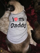 Ropa de gato para primavera y verano, chaleco estampado para mascotas a la moda, ropa divertida para gatos, 11C40S3