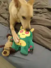 Dog-Toys Interactive Dogs-Resistant Plush-Squeaky Aggressive Chewers Pet-Supplies Stuffed