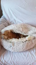 Cama de felpa redonda para mascotas nido de gato semicerrado para Comodidad para dormir profunda en invierno, cama para gatos, pequeña esterilla, cesta, perrera suave, novedad