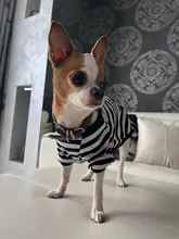T-Shirt Vest Dogs Thin Striped Pet Small Soft for And Medium Dog-Cloth Round-Neck