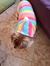 Mono de lana suave para perro, ropa de invierno para perros, pijamas para perros pequeños, trajes para mascotas, ropa con capucha para perros