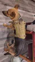 Chaleco táctico para perro, ropa de perro militar transpirable, arnés K9, tamaño ajustable, entrenamiento, caza, Molle, arnés táctico para perro