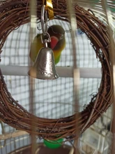 Uds 15cm vid columpio escalada mastica jaula de mordedura de mimbre anillo loro y ave mascota juguete accesorios para jaulas de pájaros decoración para mascotas suministros