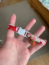 Collar de gato con campana hueca, Collar de gato pequeño de estilo japonés, collares de seguridad ajustables para cachorros y gatitos, lazo de conejo para mascotas