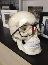 Modelo de accesorios médicos de tamaño real, Cráneo humano, modelo de anatomía anatómica, enseñanza médica, esqueleto, cabeza para estudiar, suministros de enseñanza