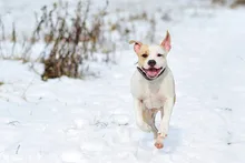 Mini termómetro Digital LCD de 1M para baño, medidor de temperatura de agua, nevera, enfriadores, color negro