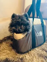Clásico de transporte de mascotas portátil acogedor cachorro suave perro gato bolsas mochila hombro transportista, suministros para mascotas para la excursión al aire libre de viaje