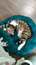 Pet Dog Bed Super Soft Long Plush Donut Round Dog Kennel Comfortable Fluffy Cushion Mat