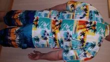 Camisa hawaiana de manga corta para hombre, camisa de secado rápido de talla grande asiática, M-5XL, informal, Floral, para playa, verano, 2021