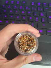 10g/50g Messor structor hormiga cosechadora comida mezclada cereales granja de hormigas comer hormigas nido taller para hormiguero hormigero Accesorios