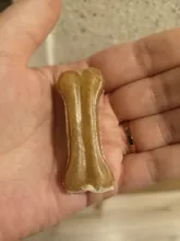 10 unidades por lote, masticables para comida, golosinas, perros divertidos, dientes de perro para masticar, suministros de Juguetes