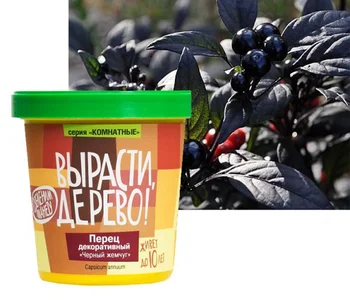 Set for выращиванияПерец decorative
Set for выращиванияПерец decorative