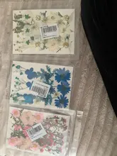 1 paquete Real secada de La Flor seca de las plantas para bricolaje molde Molde de resina rellenos de resina colgante collar joyería de uñas de arte UV Expoxy flor