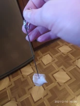 Soporte de acero inoxidable para soporte de loro mascota comida de pájaros, palo de lanza para frutas, pincho para carne, alimentador de aves