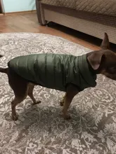 De invierno abrigo para perros ropa para perros cálido espesar sólido perro de colores ropa para perro pequeño perro rojo verde Navidad estilo perro grande chaqueta