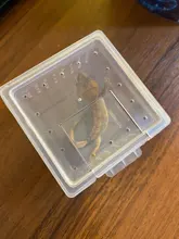 10x caja de alimentación jaula para reptil incubación contenedor tanque de cría claro vivero de reptiles terrario insecto caja de crianza comida alimentación Bo